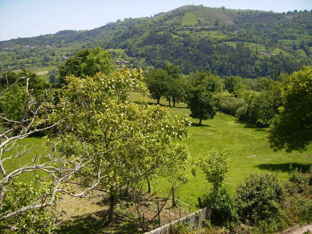Ferienwohnung El Mirador De Valdedios " Casa Friera" Puelles Exterior foto